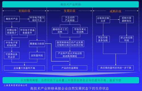 高技術產品企業盈利能力提升案例Ⅳ 以戰略咨詢為基點，驅動技術賦能與價值變現